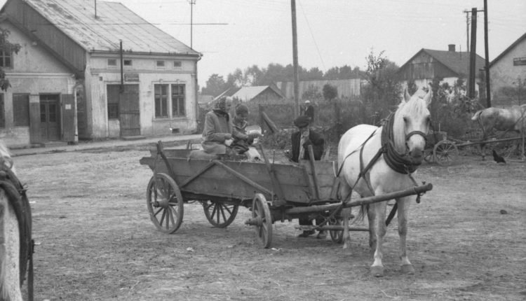 Mały Rynek w Kańczudze 21.08.1957 r. Na wozie Maria z Leśniaków Ćwikłowa i Elżbieta Gazdowicz